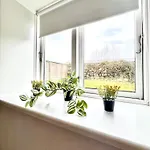 Casa vacanze 5 Minute Walk To Lego House - 50m2 With Garden / A Unit *